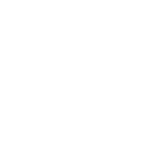 Roofing Insights